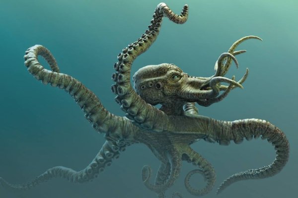 Kraken ссылка tg