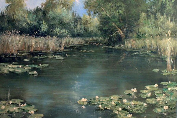 Кракен ссылки krakenwebs org