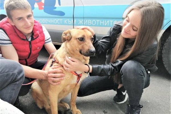 Что с кракеном сайт