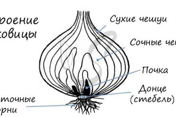 Как найти сайт кракен